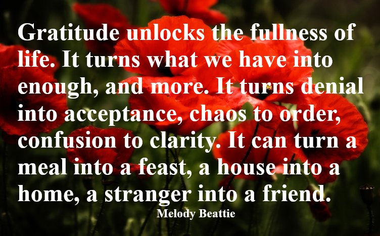 #inspire #inspirepost #gratitudefirst