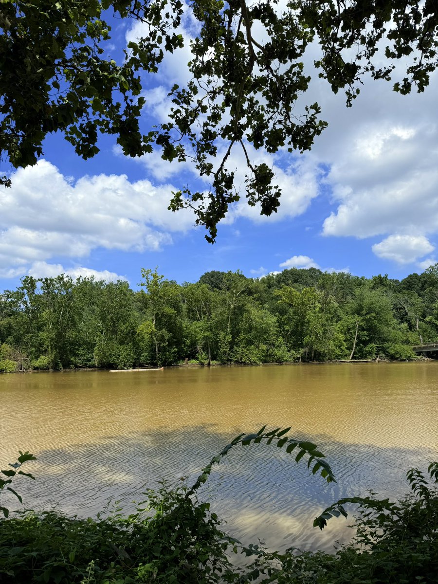 The sky was pretending it had nothing to do with the muddying of the waters.