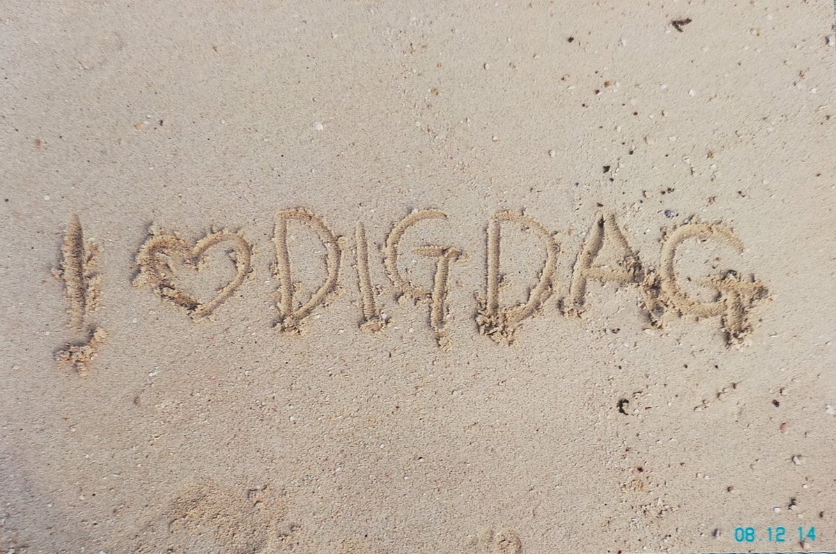 HIROE_CASCADER's tweet photo. 〜2008年 12月〜
沖縄の海すごく綺麗だったな✨✨
#DIGDAG
#BEACHPARTYTOUR https://t.co/tFIGLi85Rj