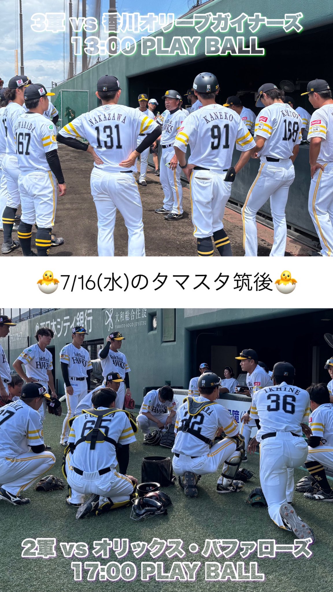 限定生産☆ ガイナーズ バス  プロ野球独立リーグ Dearにっぽん 夢へのラストシーズン ～香川・独立リーグの1