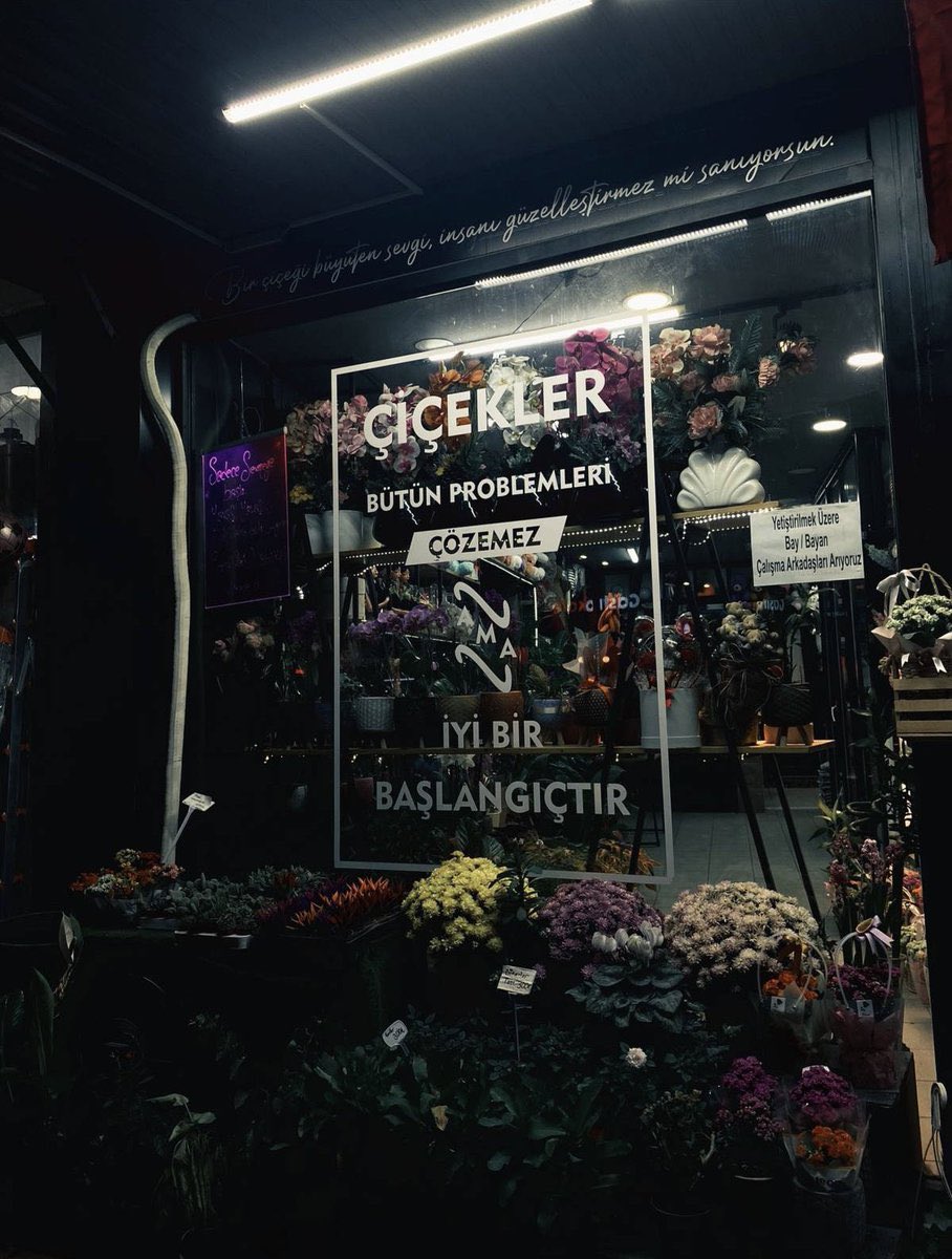 çiçekler bütün problemleri çözemez, ama iyi bir başlangıçtır..