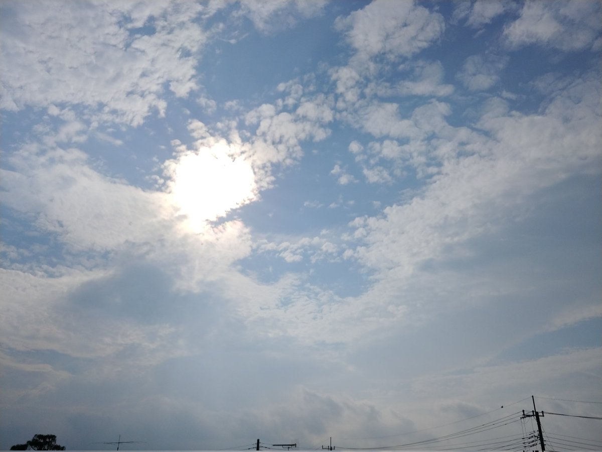 tompeko383912's tweet image. おはようございます☀️27.2℃
今日はカラッととは行かないけど晴れましたね
#イマソラ