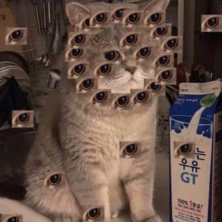 PunchingCat's tweet photo. https://t.co/mhIxwoFQnr