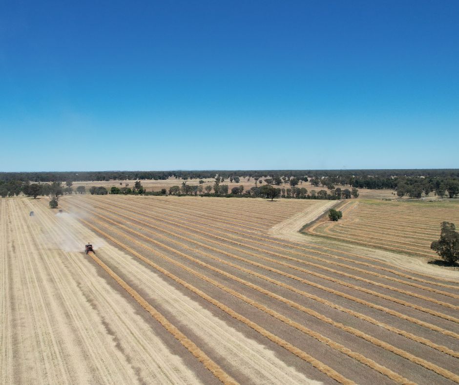 🌱 ISCC – What You Need to Know

At In Season Update, hear from Rosemary Richards, Chair of Sustainable Grain Australia, on what ISCC means for you.

Why?
✔️ Stay market-ready
✔️ Avoid audit stress
✔️ Protect long-term access

Register now: hubs.la/Q03wBwg-0