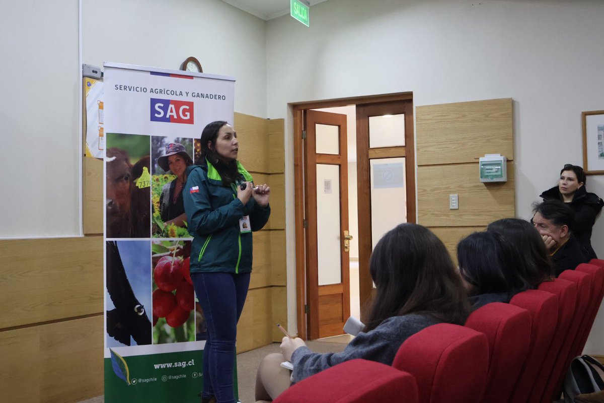 UdecBibliotecas's tweet image. #UdeCSustentable. 📸Una serie de recomendaciones para actuar ante fauna silvestre herida🐦🦔, entregó Daniela Salas de @sagchile, como parte del ciclo “Treiles: Laboratorios para la Coexistencia”.