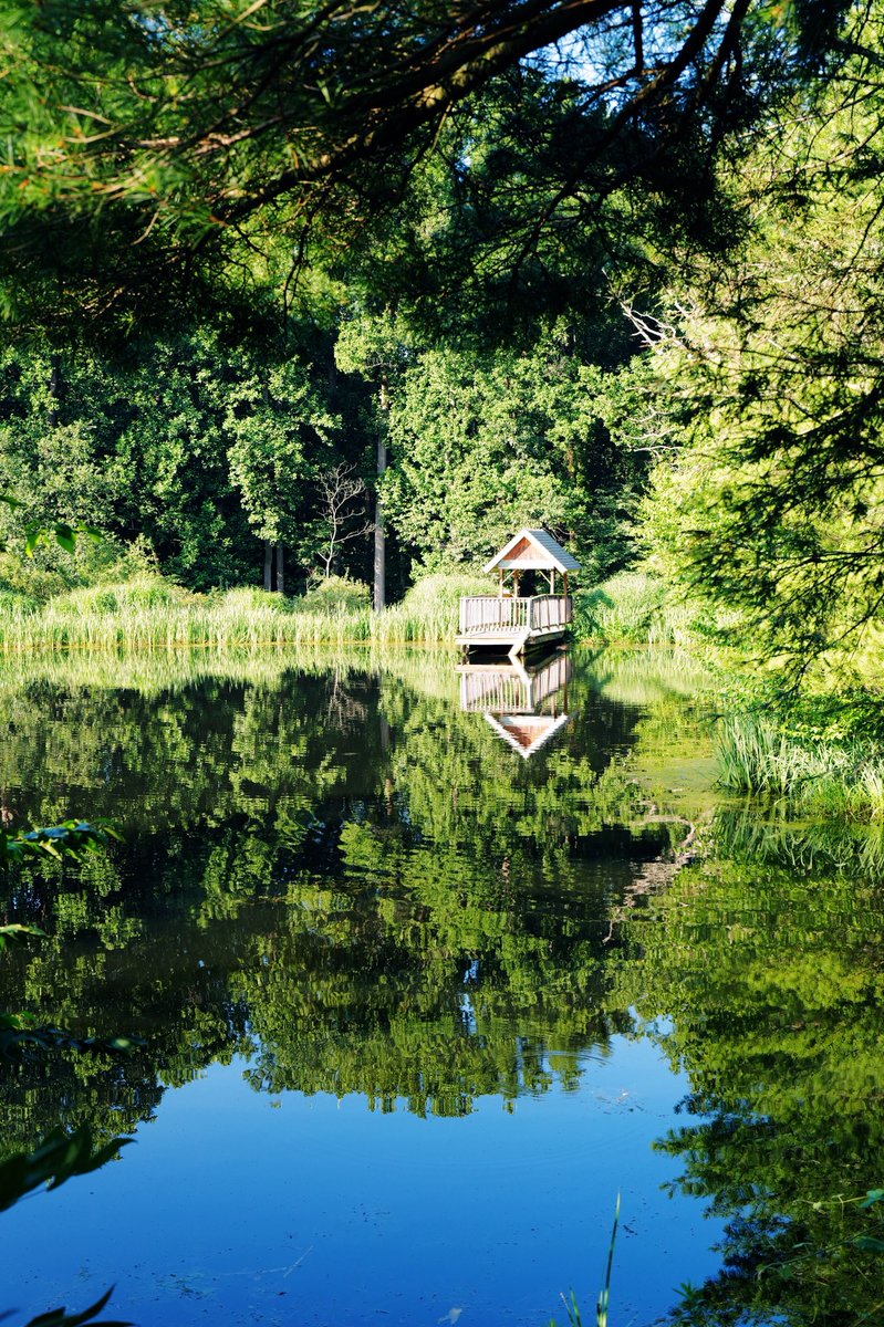 FrDesposito's tweet image. Peaceful evenings.