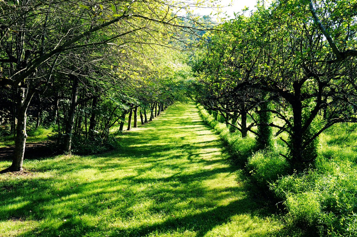 FrDesposito's tweet image. Peaceful evenings.