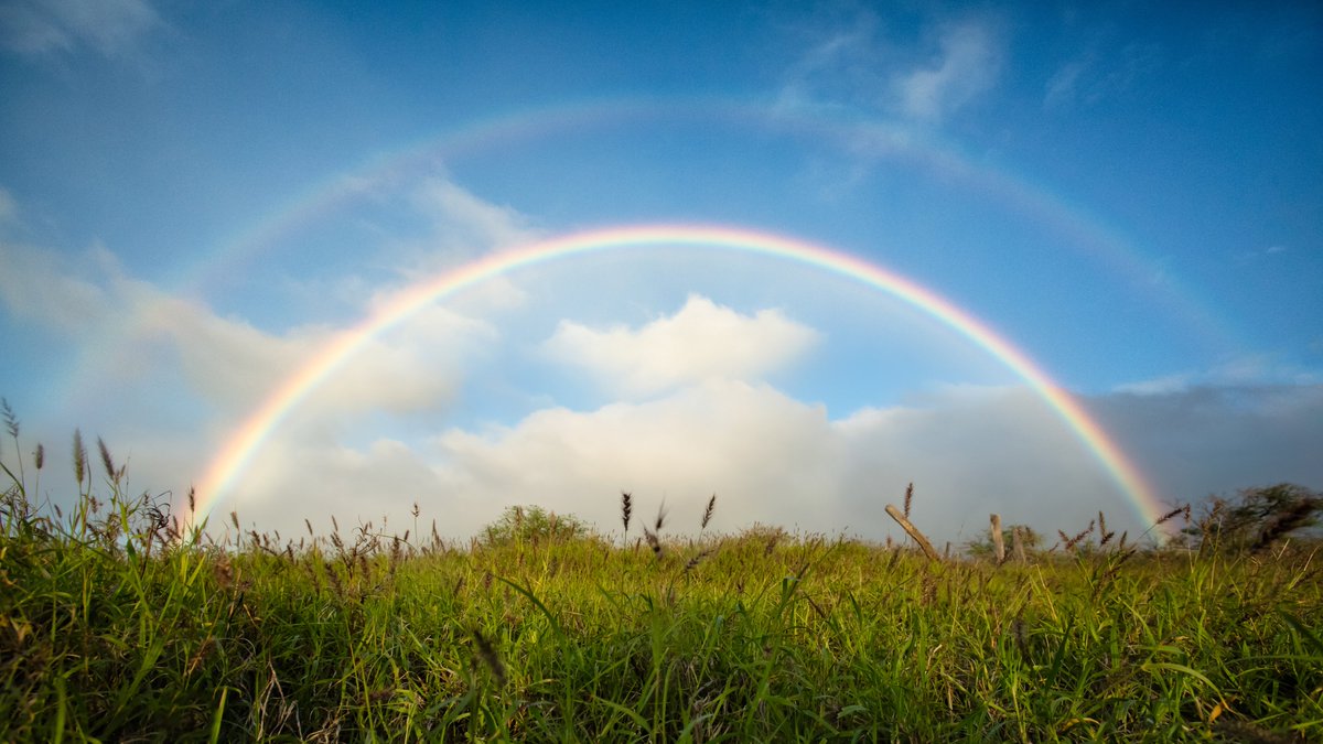 Aloha! 今日は虹の日🌈ということで、見るとハッピーになれそうな