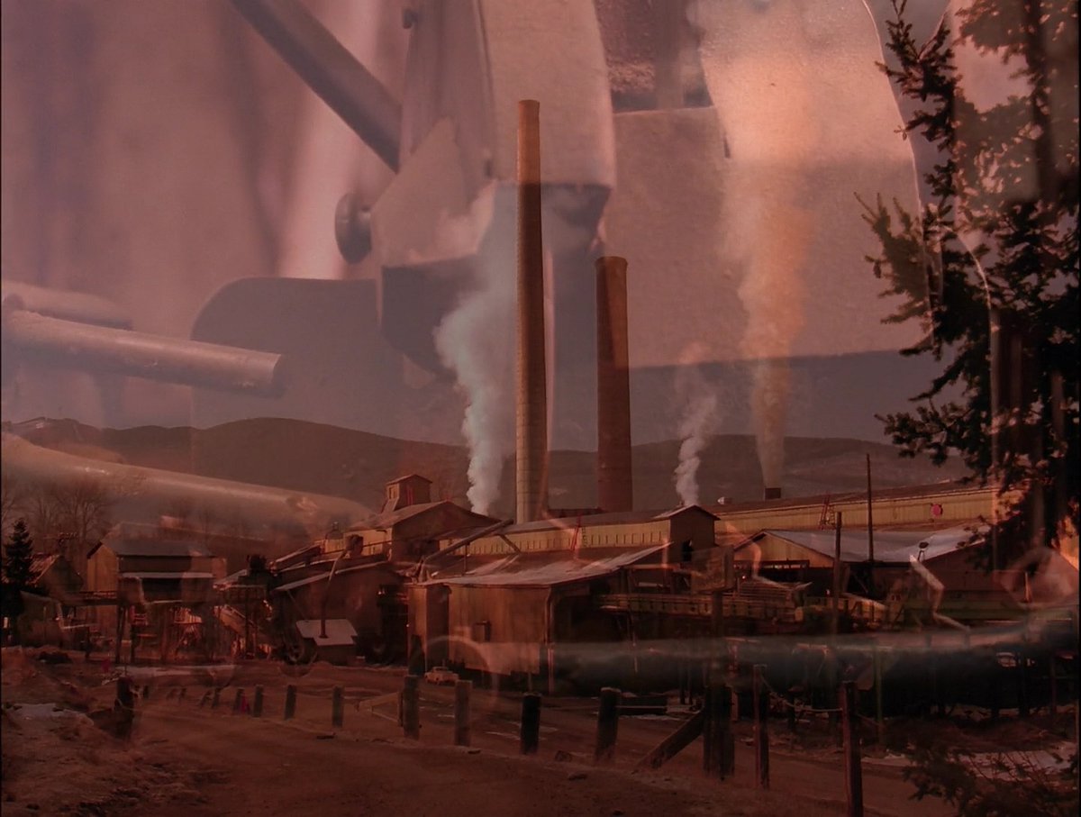 Black Lodge Cult (@blacklcult) on Twitter photo 