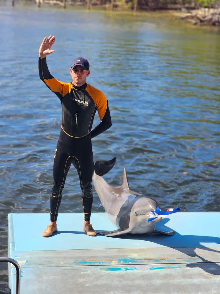 El delfinario de Cienfuegos se recupera y con ello regresa la magia esperada por todos: La magia del océano.🐬🐬
Abiertos de:  9:30 hasta 5:00 
Horario del Show 11:00 am y 3:00 pm
Te esperamos.
Palmares Siempre Joven 
El destino eres tú 
#Cubasol