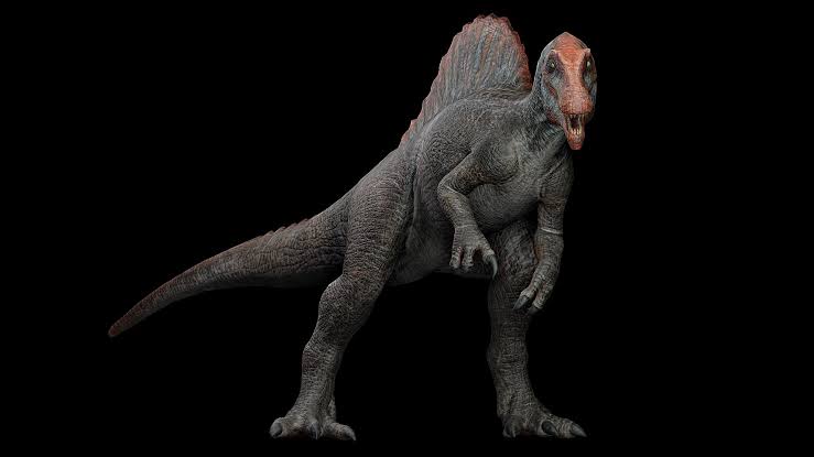 patrik_cauan's tweet image. Its so funny looking at this image everywhere,knowing that i made it Just for Fun lol
#JurassicPark #Spinosaurus
