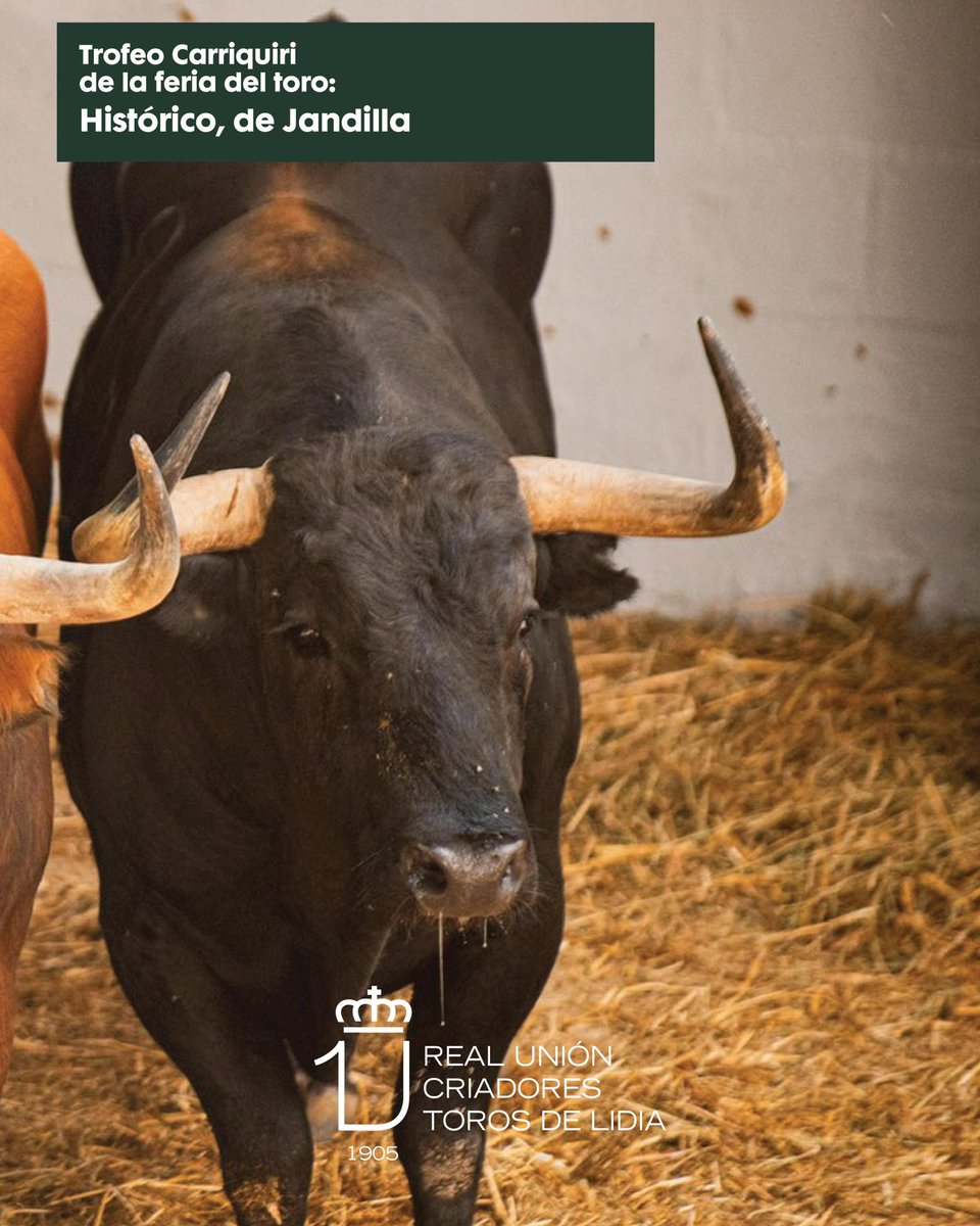 La Feria del Toro ha terminado, pero no queremos dejar pasar la oportunidad de felicitar a nuestros asociados, Hrdos. de D. José Cebada Gago y Jandilla, por el Trofeo Carriquiri al mejor toro de la Feria del Toro de Pamplona 2025. ¡Enhorabuena!