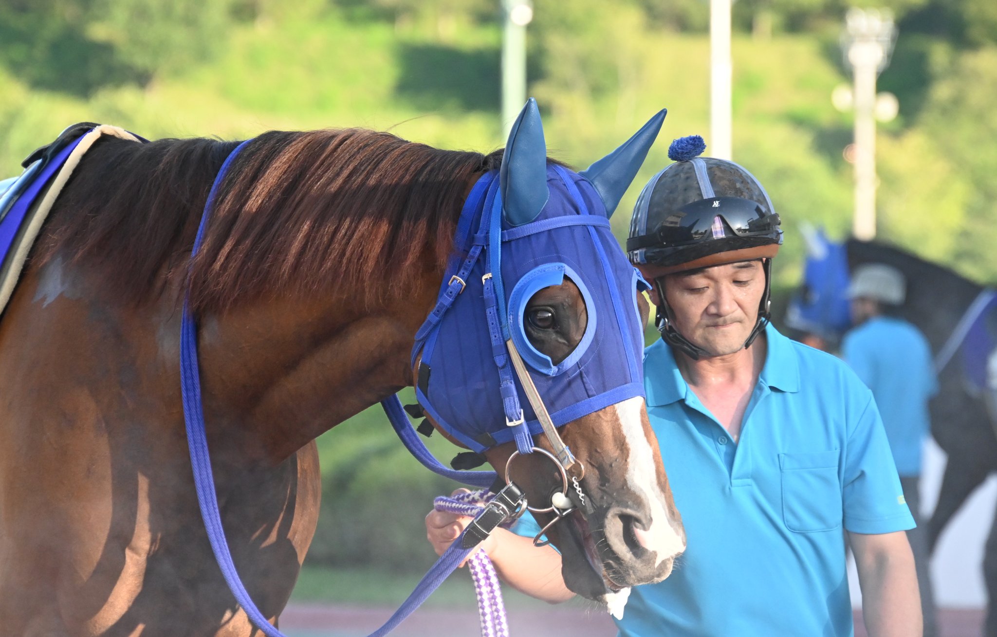 く*ろ様 競走馬　スペシャルウィーク　無口 く*ろ様 競走馬 スペシャルウィーク 無口