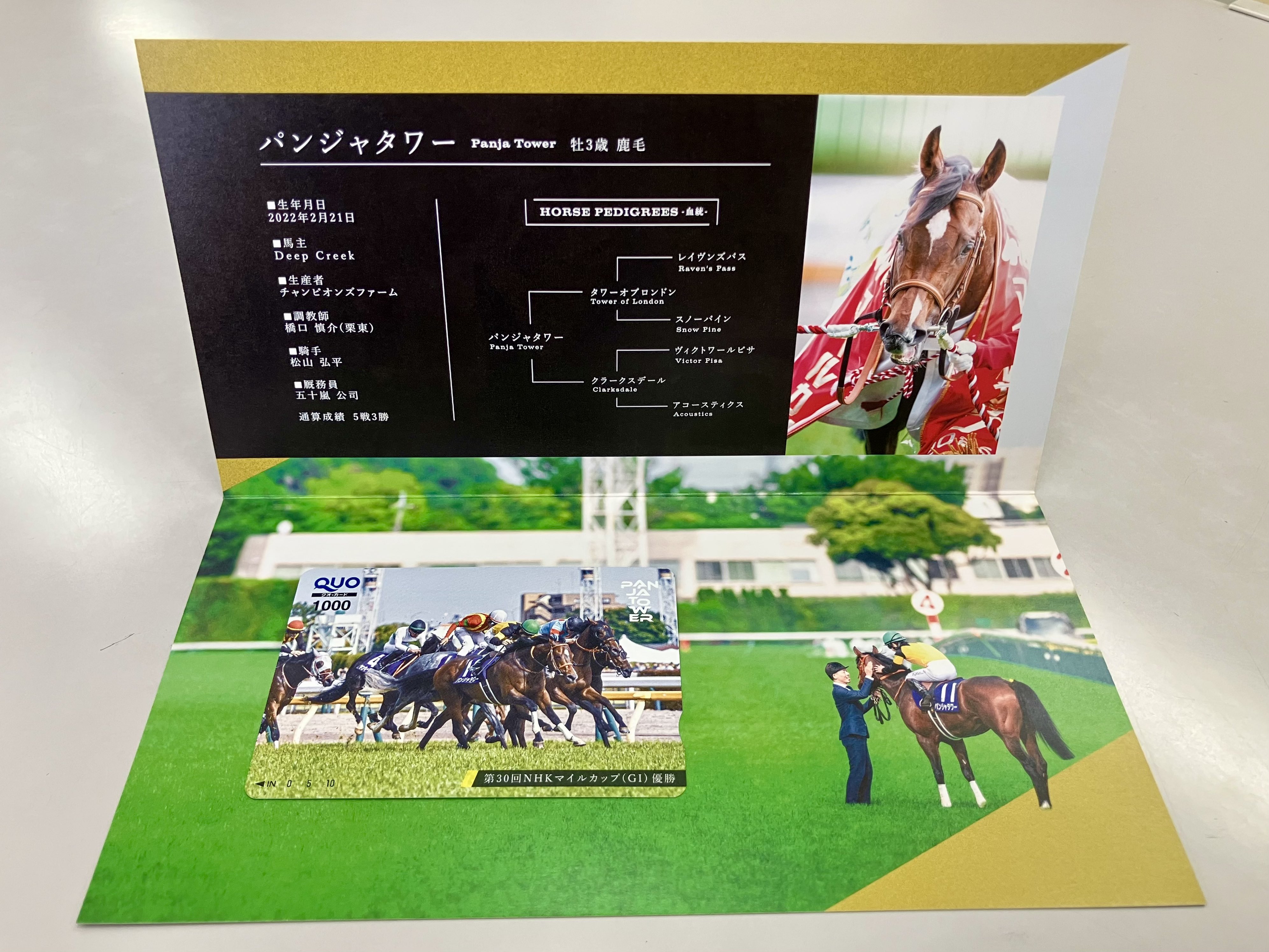 【非売品】「パンジャタワー」NHKマイルカップ優勝記念グッズセット/ブルゾン競馬 DSXZQO6373453011052025000000-1