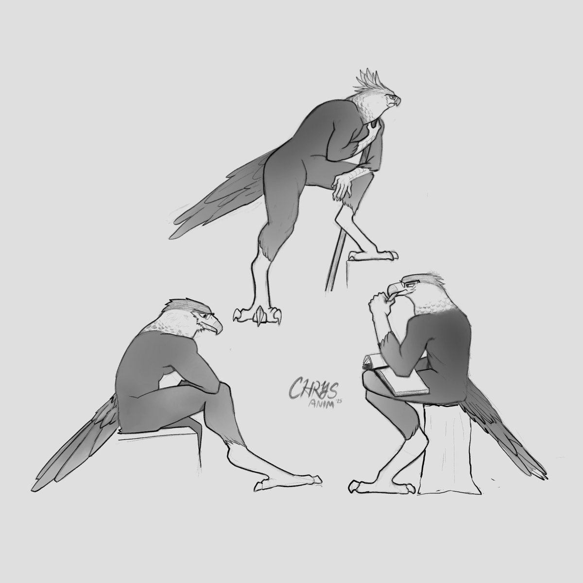 Crested Caracara dude