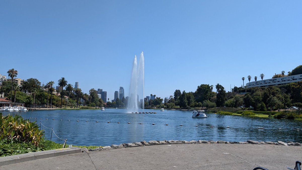 Pookadoodles1's tweet image. Day 1 in LA 🌴 I was very happy to check out Happibara Station finally! @happibarast