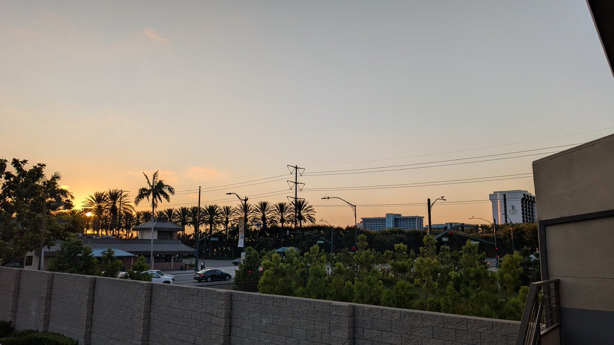 Pookadoodles1's tweet image. Day 1 in LA 🌴 I was very happy to check out Happibara Station finally! @happibarast