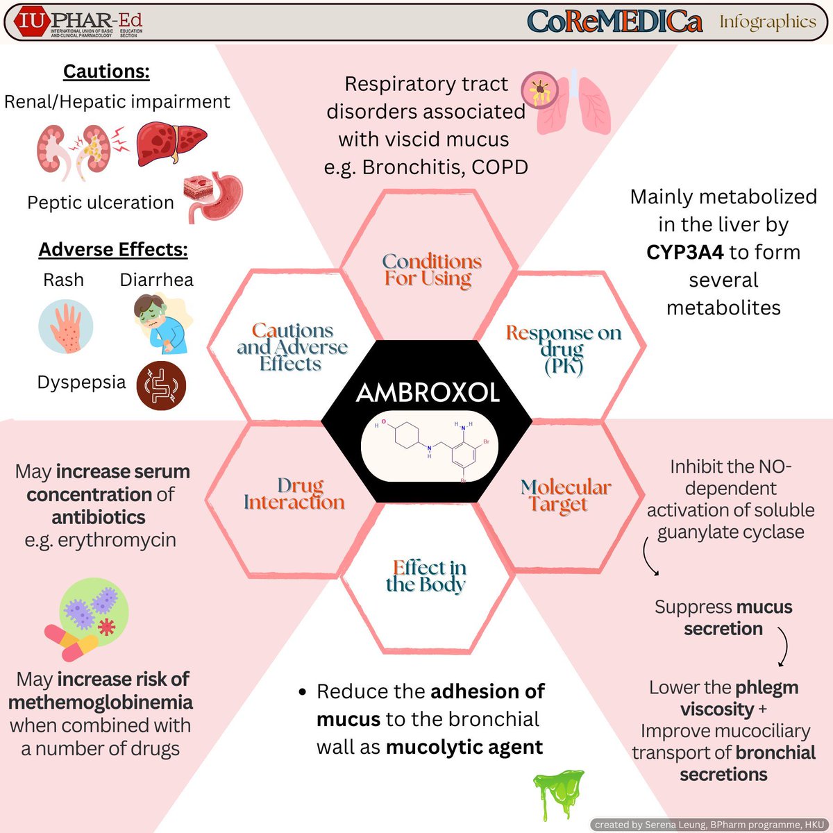 IUPHAR_Ed's tweet image. Ambroxol is the drug featured in today&apos;s CoReMEDICa infographic (creator: Serena Leung, supervisor: Willmann Liang, @HkuPharm).

If you wish to share your own pharmacology teaching and learning materials, please do let us know here or via email (willmann@hku.hk).