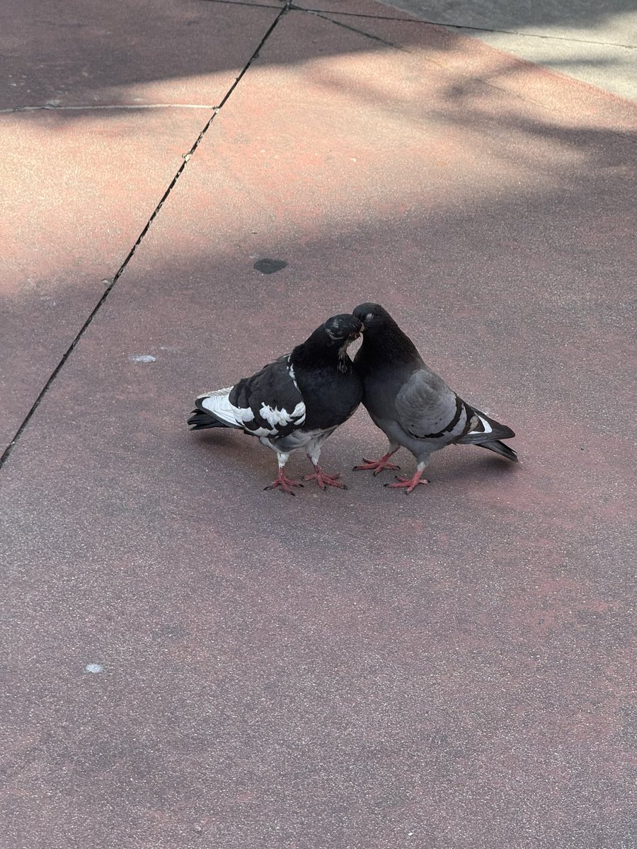 나도 투자하는거 알려줘 무료 주식 한개들고 뭐야 이게
