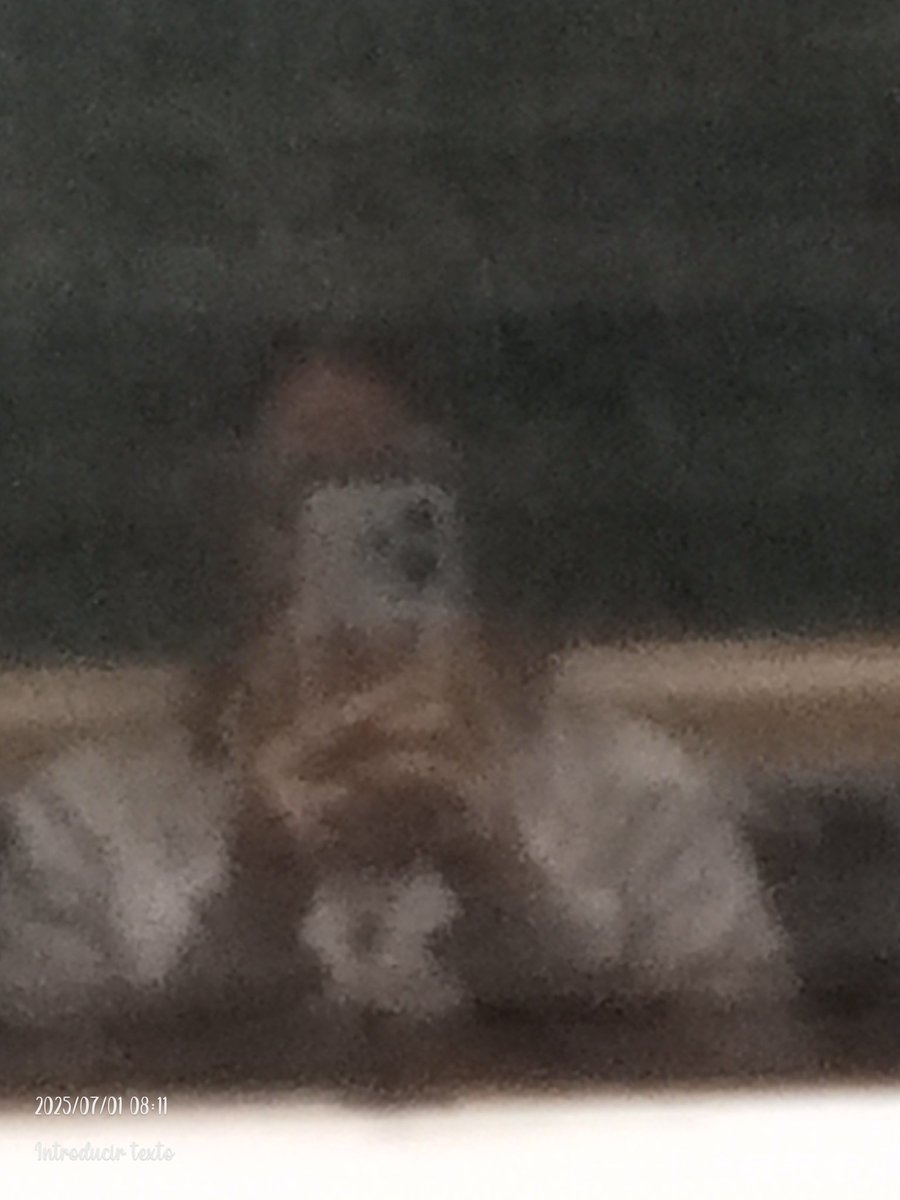 FatimaTalaver20's tweet photo. Yo en el metro 🚇Ⓜ🚈 https://t.co/uMSpIyBZ8T