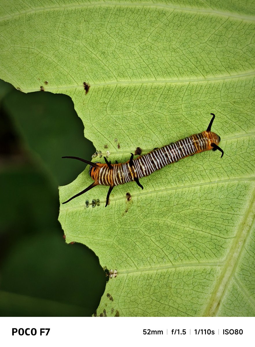 #XiaomiExplorer Partha Chatterjee for Xiaomi🇮🇳 (@parthac121) on Twitter photo Let's start with Nature
<a href="/IndiaPOCO/">POCO India</a> <a href="/Pathtoremember/">Varun V Nair</a> <a href="/Himanshu_POCO/">Himanshu Tandon</a> <a href="/Iamnil7/">Indranil Chakraborty</a>
#POCOF7 #AllPowerNoBS
<a href="/digvj/">Digvijay 🇮🇳</a> <a href="/Snapdragon_IN/">Snapdragon India</a> Let's start with Nature
<a href="/IndiaPOCO/">POCO India</a> <a href="/Pathtoremember/">Varun V Nair</a> <a href="/Himanshu_POCO/">Himanshu Tandon</a> <a href="/Iamnil7/">Indranil Chakraborty</a>
#POCOF7 #AllPowerNoBS
<a href="/digvj/">Digvijay 🇮🇳</a> <a href="/Snapdragon_IN/">Snapdragon India</a>