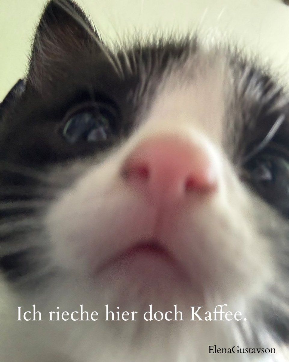 Moin, ich wünsche Euch allen einen wunderschönen ruhigen #Mittelfingermittwoch und 1 stressarmen Arbeitstag und dazu den ein oder anderen starken guten Kaffee und nette Kollegen. Na mal sehen, was heute noch so passiert und ob wir uns wieder vor Grauen an den Kopf fassen müssen.