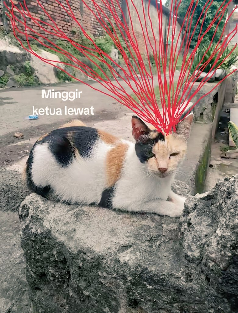 Slines Ketua .. kalah kalean 😂