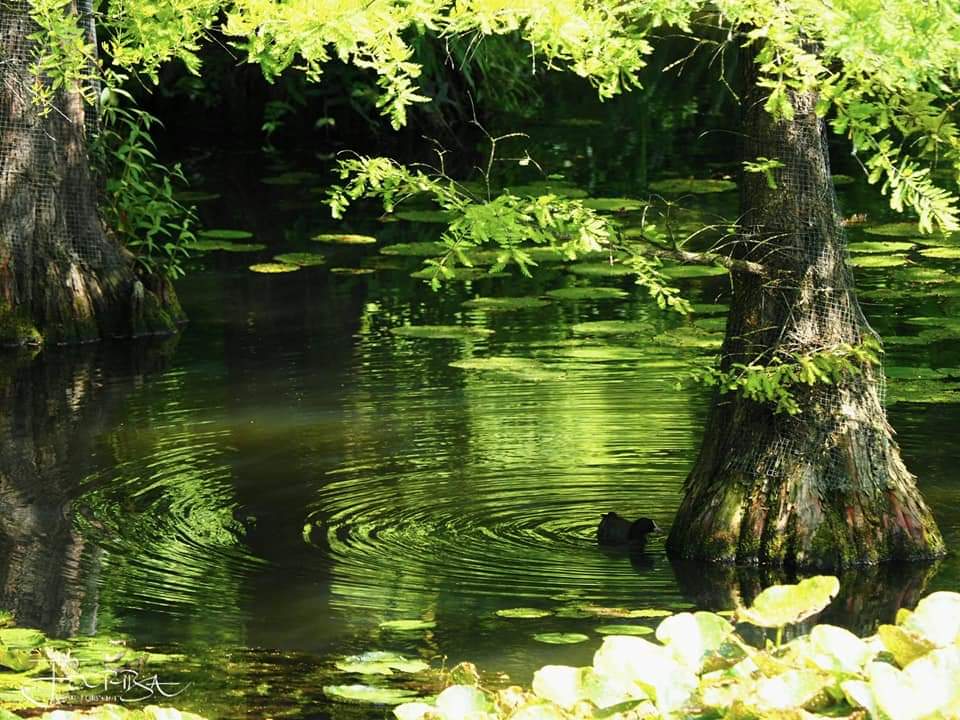 Guten Morgen 🌞

Frag dich jedes Mal, wenn du aufwachst: Was Gutes werde ich heute erreichen? Was kann ich tun, um die Welt ein bisschen besser zu machen? Wem kann ich heute helfen, das Leben positiver zu sehen?

Wünsche euch einen wunderbaren Tag! ⚜️🍀😊