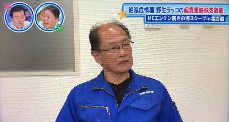 1831874tfh's tweet image. 7/6静岡TVで放送の
「ウナバラ」でラッコの話で出演の石原さん
その言葉に涙でうるッ
↓
「人間が乱獲していなくなったのが長い年月をかけてまた、戻って来たので大切にして、二度といなくなるようなことが、ないようにしないといけない」

私もそう思っています

＃鳥羽水族館　＃メイ　＃キラ
