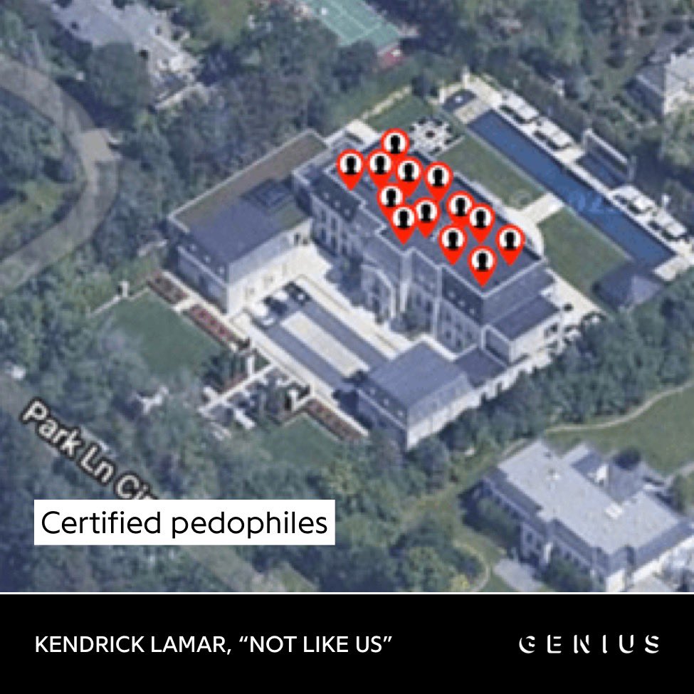 Frank 🐢 tweet media