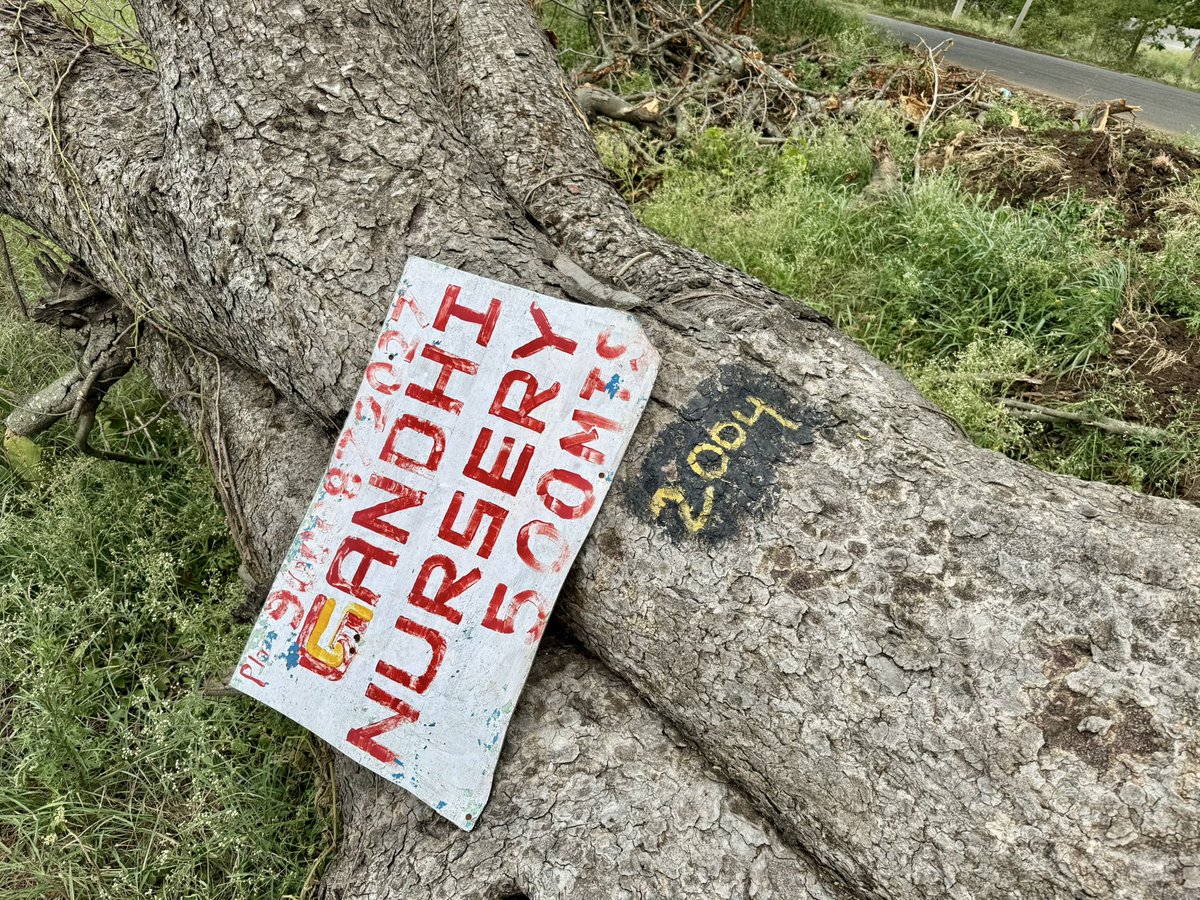 vata_foundation's tweet image. #savechevellabanyans tree number 2004 wont be left in situ nor translocated.. like 100’s of others that were burnt over the past 3 years.. adding to the long list of #FallingBanyansofChevella 

@HarithaHaram @addlcol_vkb @moefcc @pargaien 

#SaveFullyGrownTrees 
@uday32008293