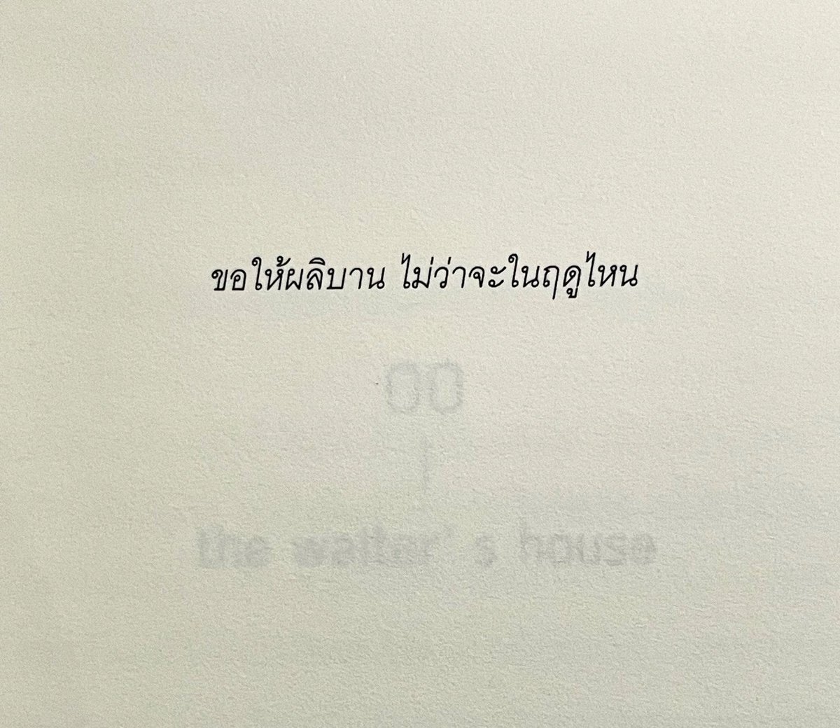 กลิ่นหนังสือ (@klinnangsue) on Twitter photo 