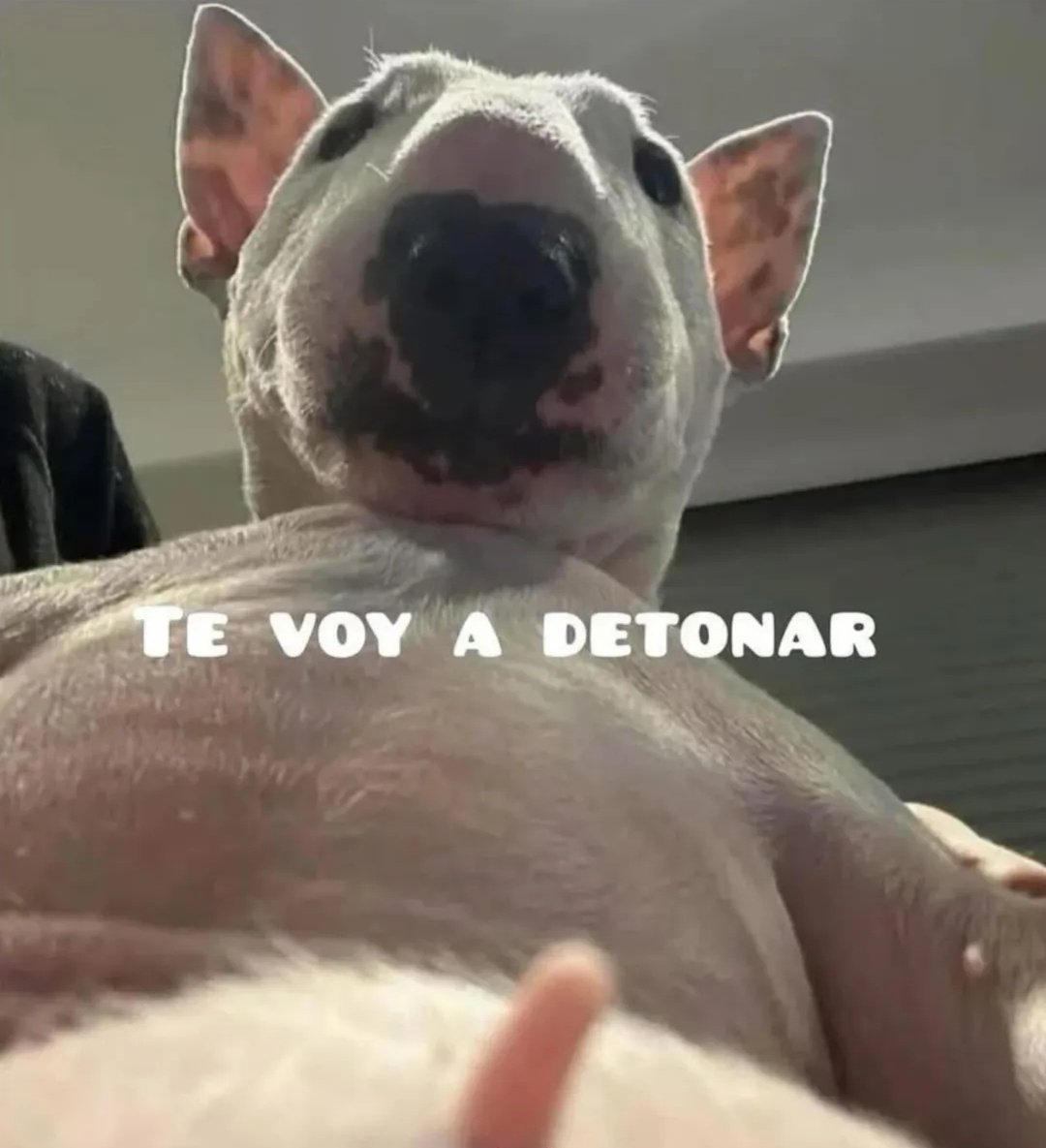 Dejavü diario en Twitter.