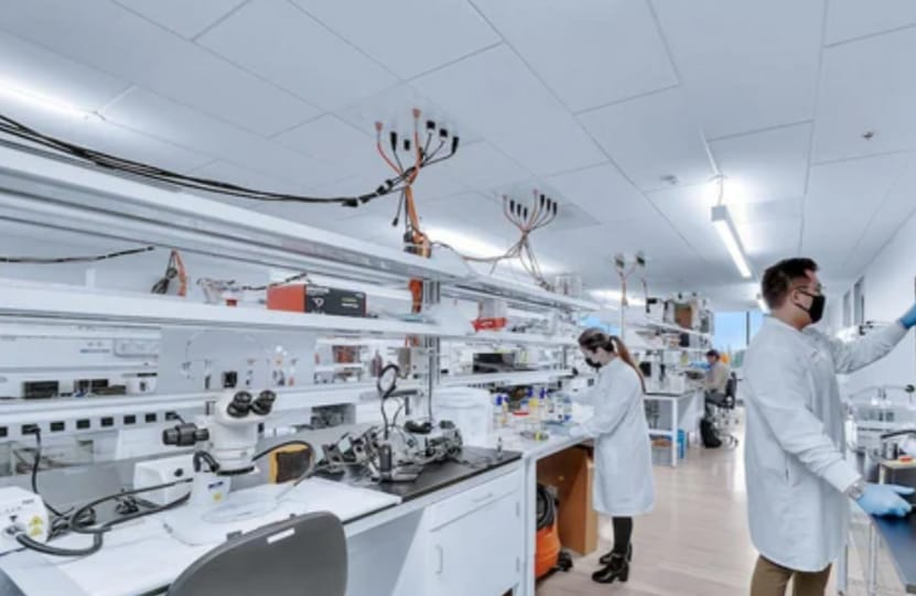 Daisy Dzerzhinsky MD, PhD (@betterbecomes) on Twitter photo Today's focus: regenerative cell repair. We tested the effect of peptide complexes on activating adult stem cells. Early results show enhanced metabolic activity. Next phase: dynamic tracking in a 3D tissue model. Every step in science feels like a step closer to hope. 🔬 Today's focus: regenerative cell repair. We tested the effect of peptide complexes on activating adult stem cells. Early results show enhanced metabolic activity. Next phase: dynamic tracking in a 3D tissue model. Every step in science feels like a step closer to hope. 🔬