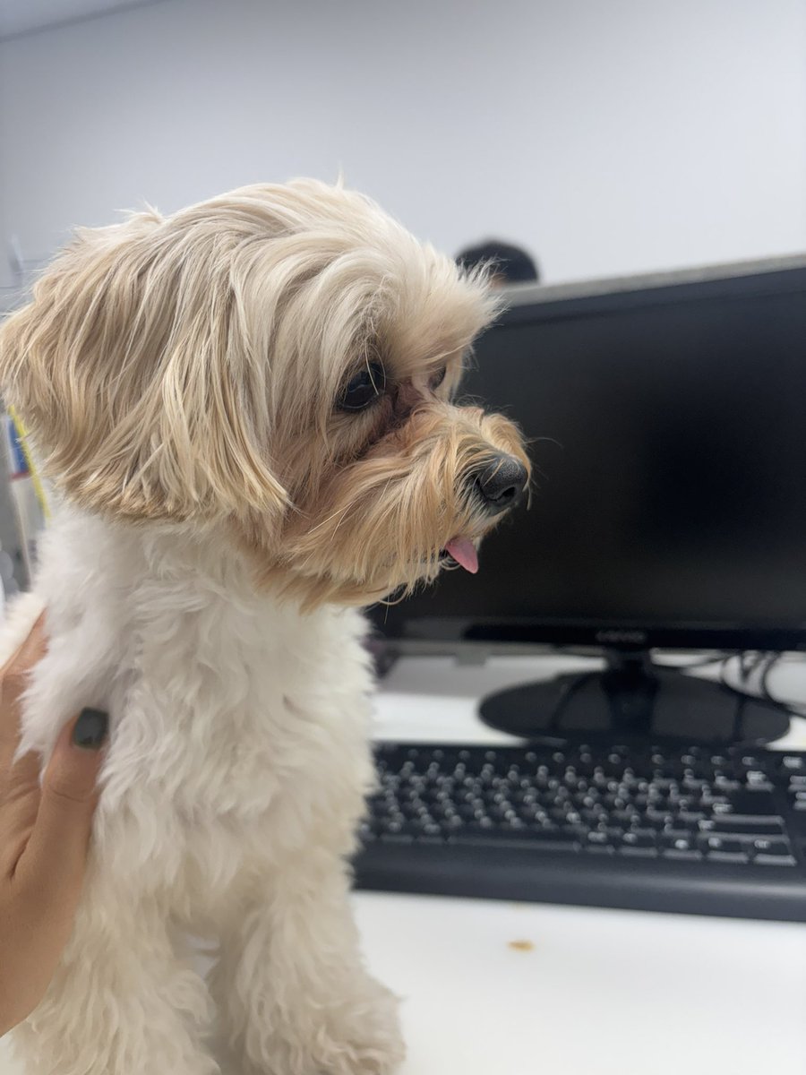 파티션 건너 계신 이사님을 너무 좋아함