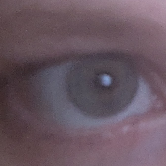 Cxffeine_Addxct's tweet photo. What type of eyes do you think mine are, based on an animal? https://t.co/rRNoS2IdDj