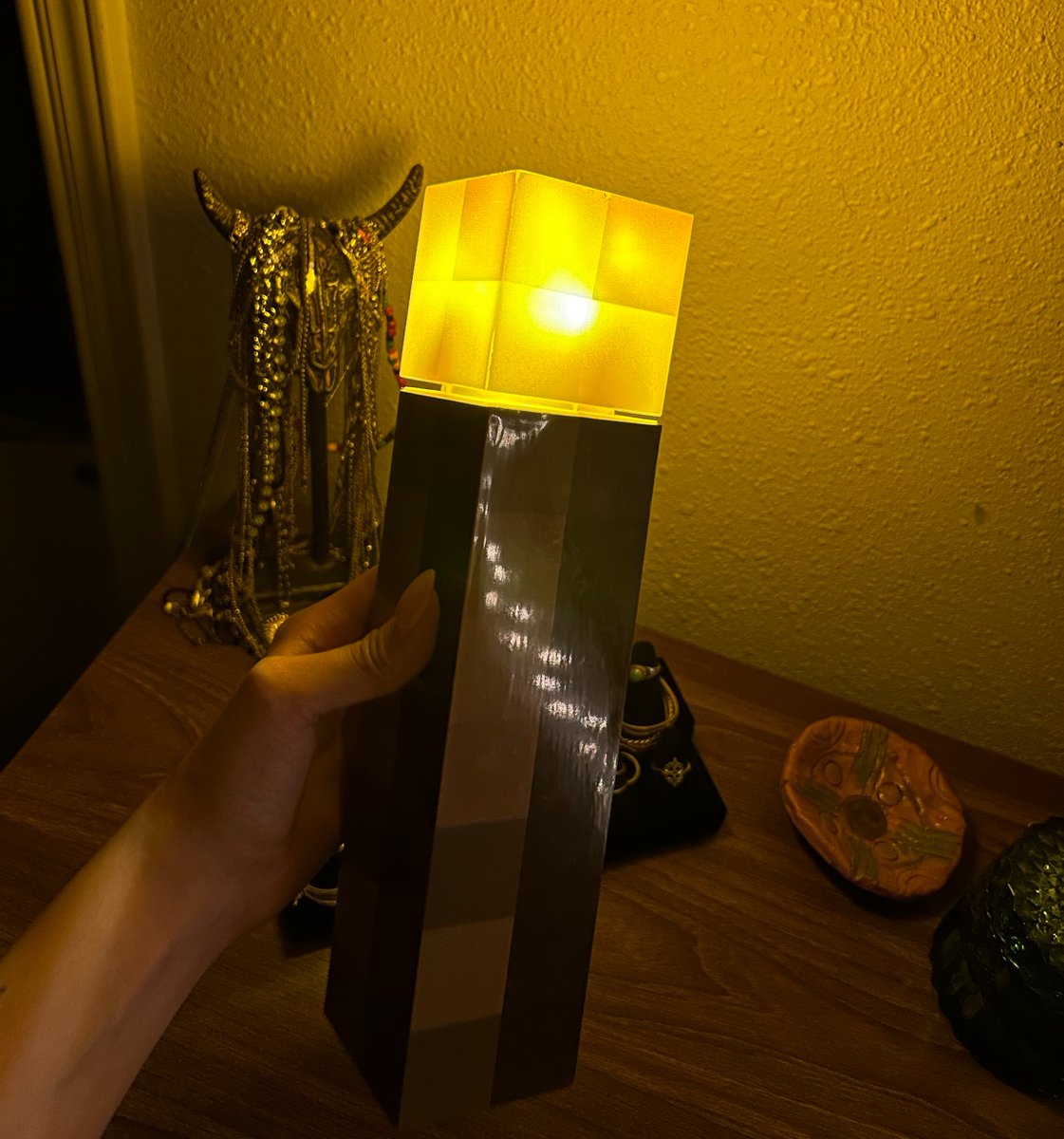 arrowmonarch's tweet image. Finally got enough coal to make a torch 😮‍💨