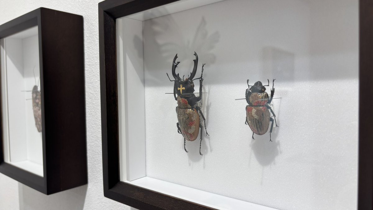 insects_6464's tweet image. INSECTS展は今週の土曜日までの開催です!
夕方ころにINSECTSに関する嬉しいお知らせをさせていただきます🪲🎶(ギャラリースタッフ)
【INSECTS】
7/4(金)~19(土) ※日・月休廊
10:30-18:30
📍SASAI FINE ARTS(銀座)
sasaifinearts.com