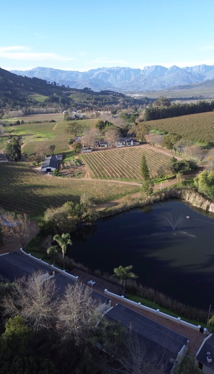 Welcome to Le Pommier – your Winelands escape!
Located between Stellenbosch &amp; Franschhoek, we offer:
Cosy stays
Farm-style food
Award-winning wines
Event venues
Family-friendly fun

📍 Stellenbosch | lepommier.co.za
Watch here👇
youtube.com/shorts/ihcHUHE…