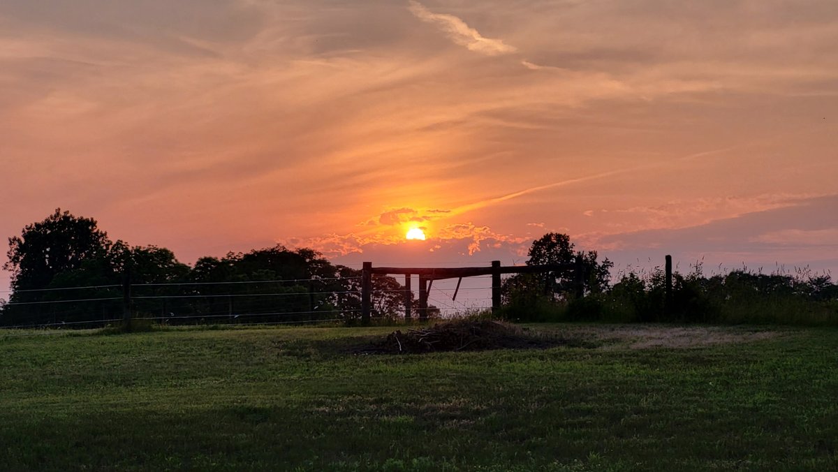 Fernando De Velasco tweet media