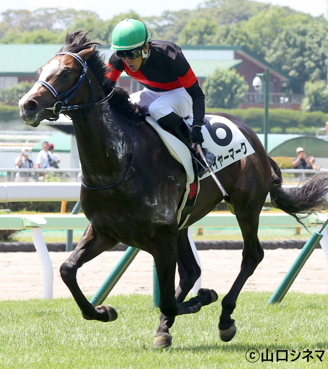 G1TCofficial's tweet image. 先週はクラブ馬が2勝⭐️⭐️
8日(火)盛岡・アメジスト賞ではバーケンヘッドが初勝利。返し馬でヒヤリとするシーンもありましたが、レースはまさに完勝といえる内容でした👏
13日(日)函館・新馬戦ではハイヤーマークがデビュー勝ち。直線での伸びは素晴らしく、さらなる高みへ向けて期待が膨らみます🎵