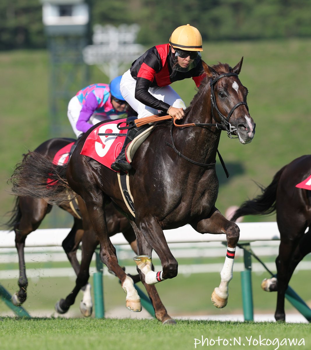 G1TCofficial's tweet image. 先週はクラブ馬が2勝⭐️⭐️
8日(火)盛岡・アメジスト賞ではバーケンヘッドが初勝利。返し馬でヒヤリとするシーンもありましたが、レースはまさに完勝といえる内容でした👏
13日(日)函館・新馬戦ではハイヤーマークがデビュー勝ち。直線での伸びは素晴らしく、さらなる高みへ向けて期待が膨らみます🎵