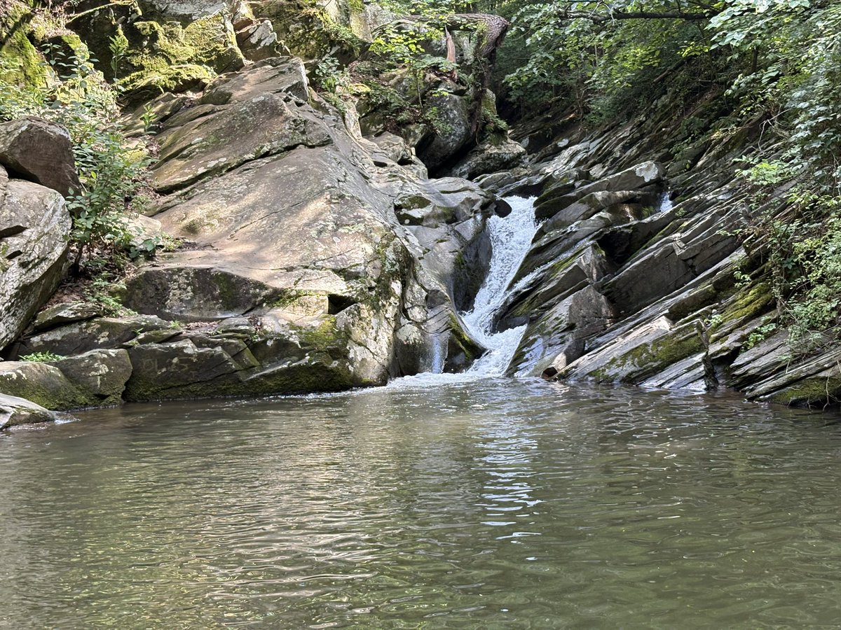 FinnishGear's tweet image. Hiked up a mountain with the kids to go and swim by a small waterfall.
Worth it. Also filled a hat with chantarelle mushrooms we found.