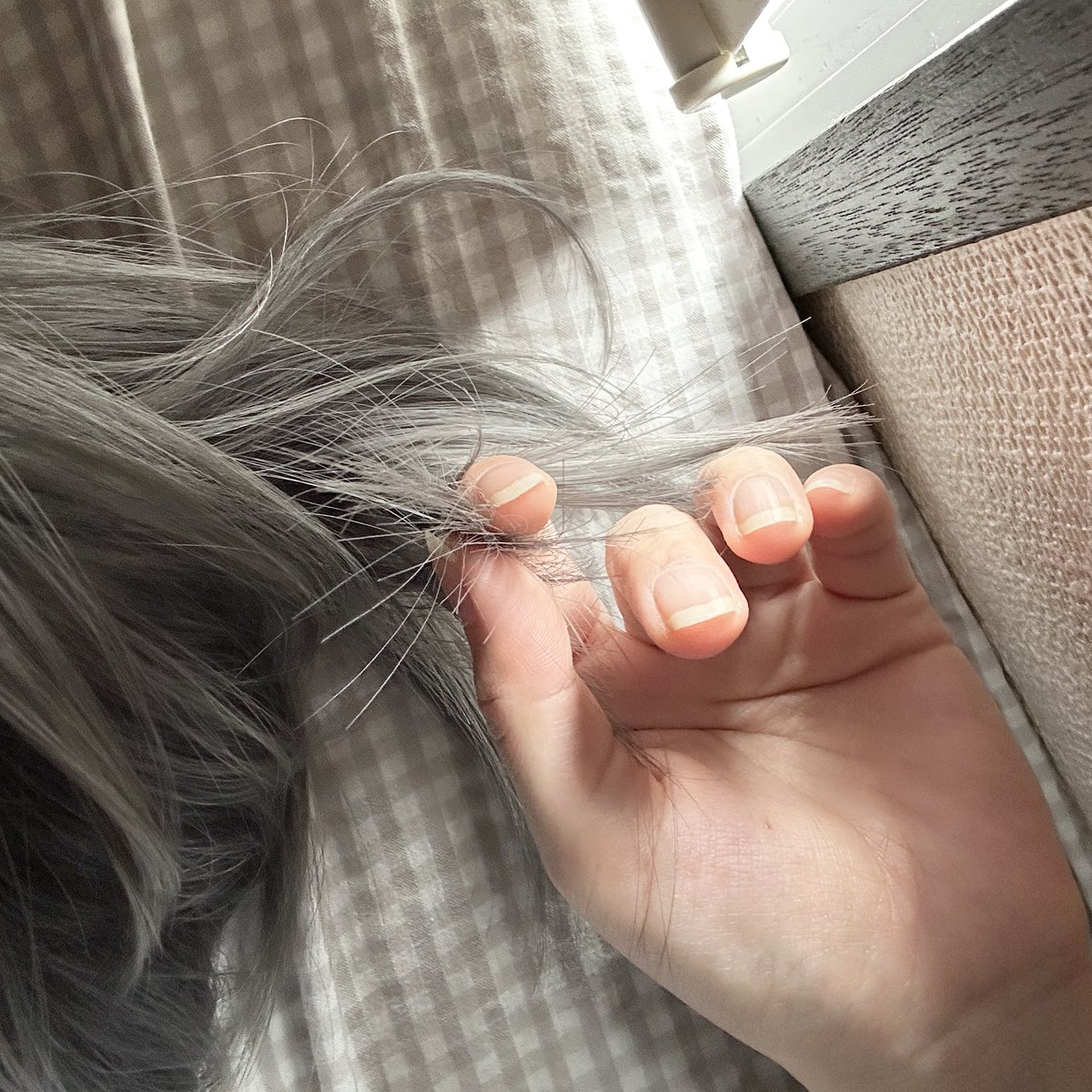 tori429_'s tweet image. 青ないなった
