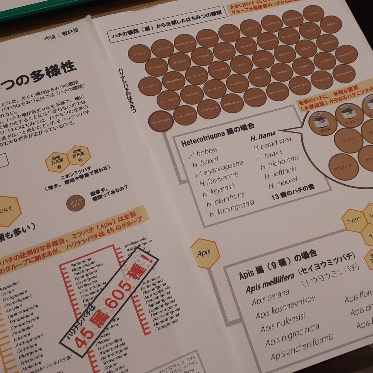 mitsurindow's tweet photo. 学問からエンタメ、当初の予定があんまり「学タメ��にフィットしていない感じだったので、急きょ大幅変更。ハリナシバチはちみつの無限の多様性をミツバチと比較してみたら落ち着きました。
#博物ふぇすてぃばる https://t.co/VArySwuKpW