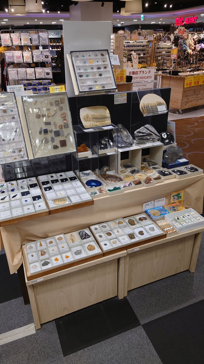 tokyoscience's tweet image. 7月15日より、有隣堂 錦糸町テルミナ店にて化石鉱物フェアを開催致しております!
開催期間は8月26日(火)まで!
ぜひともお立ち寄り下さい!
#化石
#鉱物
#東京サイエンス