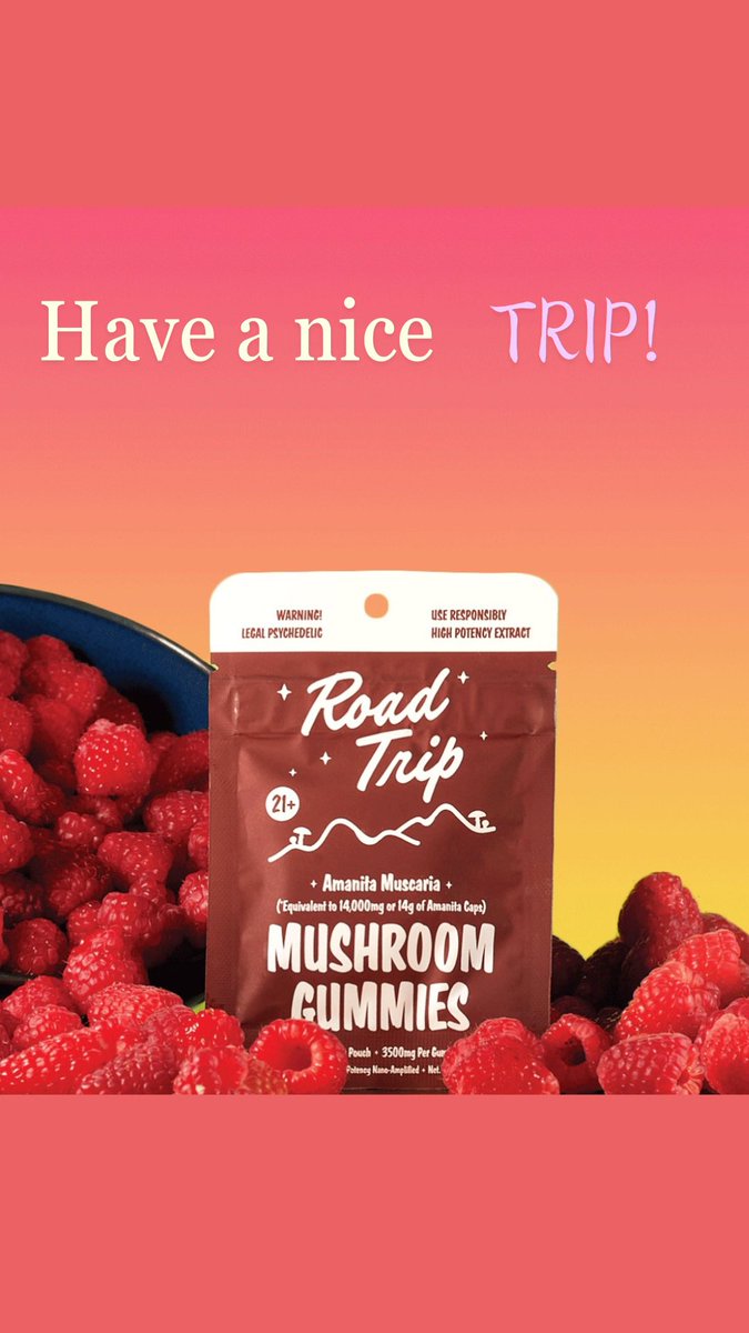 HighsHellos's tweet photo. Shop Open 🤟🏾🚗🛑 Road Trip Shroom Gummies: https://t.co/GNfvxos5yP