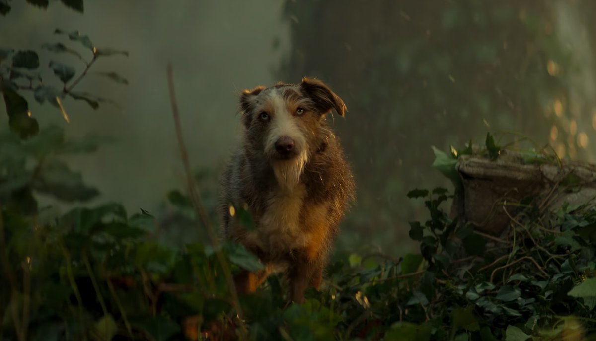 Oarquitetinho's tweet photo. Pegaram o mesmo ator que fez o cachorro do destruição em Sandman pra fazer quarteto fantástico foda dms https://t.co/WiKQrUKhXa