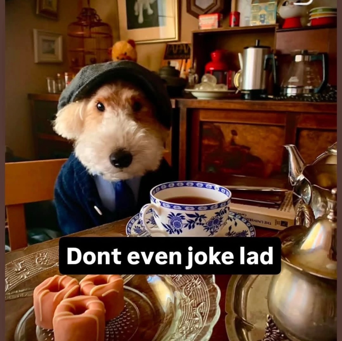 Images AI Could Never Recreate tweet media