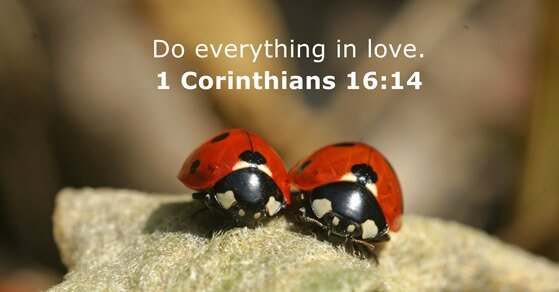 NellyADN"ALDUB/MAICHARD4EVER" (@nellygbasco) on Twitter photo JULY 16, 2025 - BIBLE VERSE
"Do everything in love." - - 1 Corinthians 16:14
<a href="/aldenrichards02/">Alden Richards</a> <a href="/mainedcm/">Maine Mendoza</a>
ADN & ALDUB STRONGER TOGETHER
NO TO SOLO PROJECTS
ALDUB PaRin
#ALDUB10thAnniversary JULY 16, 2025 - BIBLE VERSE
"Do everything in love." - - 1 Corinthians 16:14
<a href="/aldenrichards02/">Alden Richards</a> <a href="/mainedcm/">Maine Mendoza</a>
ADN & ALDUB STRONGER TOGETHER
NO TO SOLO PROJECTS
ALDUB PaRin
#ALDUB10thAnniversary